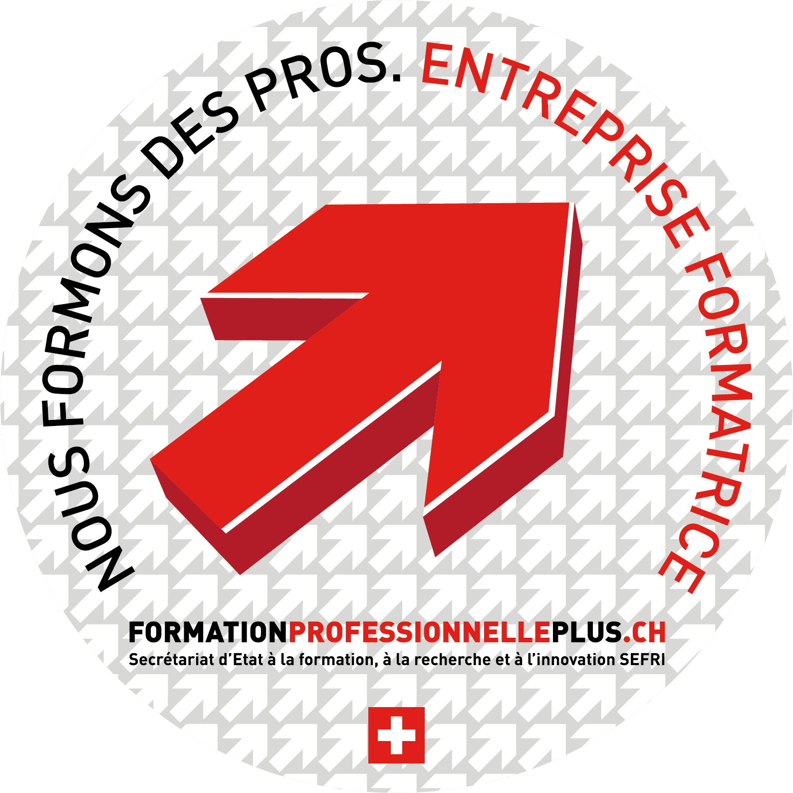 Vignette entreprise formatrice Suisse